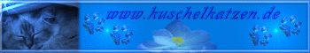 Kuschelkatzen