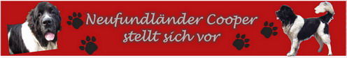 Prachtkerl Cooper ...