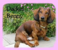 Daniela und Benny 
