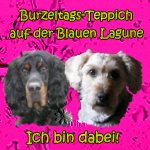 auch wir sind dabei ...