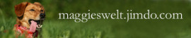 Die Welt von Sandra und Maggie