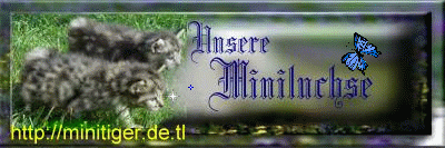 inklusive Linkliste der sch�nsten Homepages ...