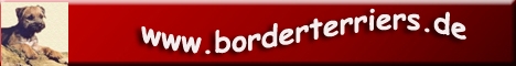 Rainbow Warrior Border Terrier