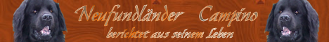 Campino's sehenswerte Seite