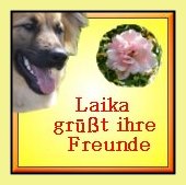 Laika und ihre Familie ...